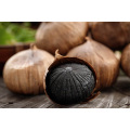 100% Natural Black Garlic Extract Powder